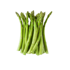 Fresh green asparagus, bunch