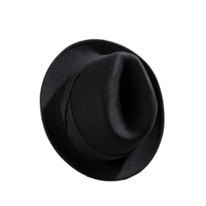 Sombrero Fedora a la moda