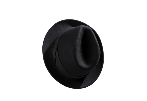 Sombrero Fedora a la moda