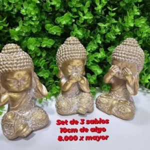 36113c80 49d5 4e0d 8be1 4dbc5581c212.webp