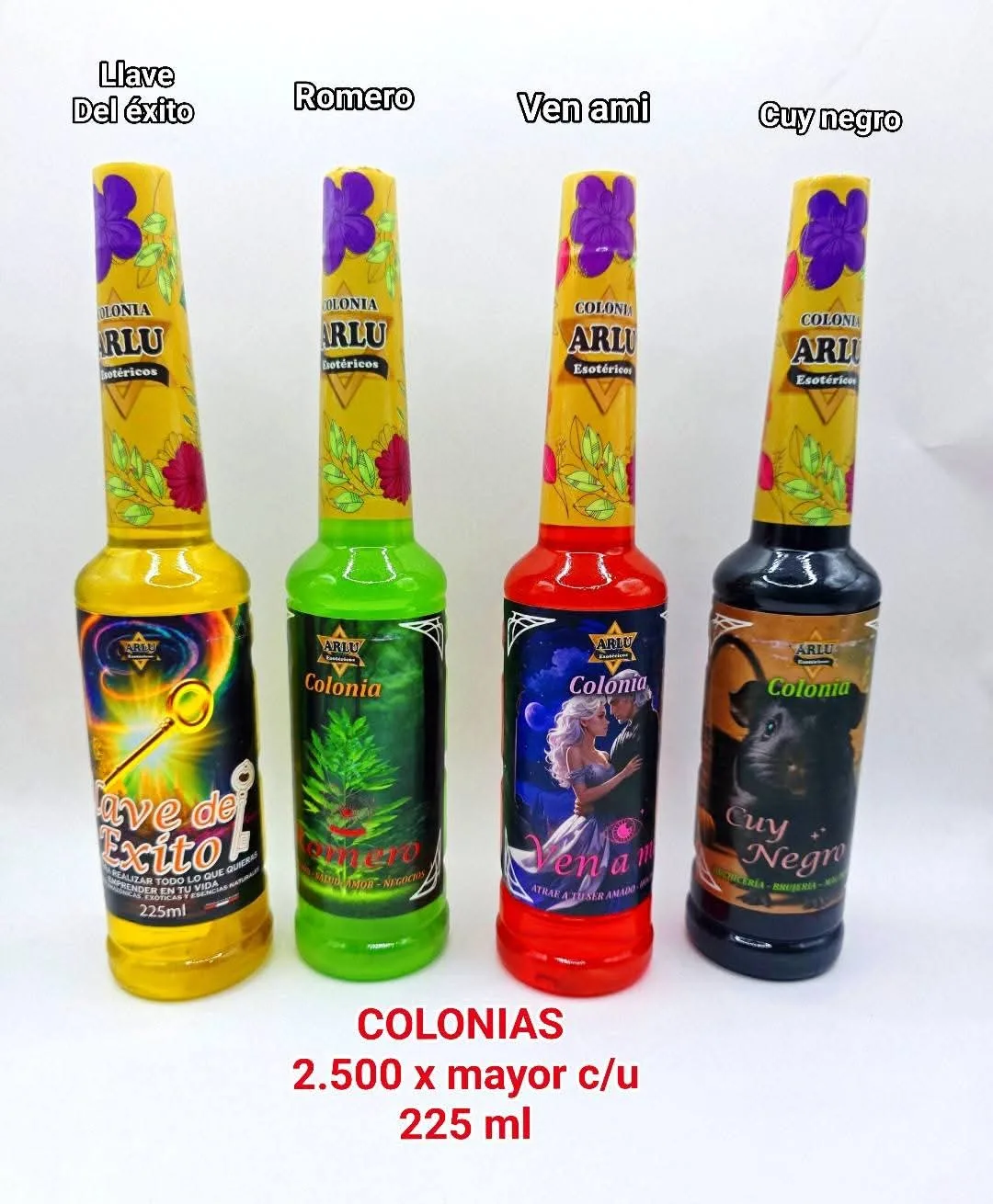 7c588354 4c25 429c 8560 101d9f638afc.webp 7c588354 4c25 429c 8560 101d9f638afc.webp