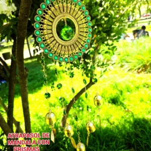 7f7865cc 1eea 4f32 969e 778a51ffb096.webp