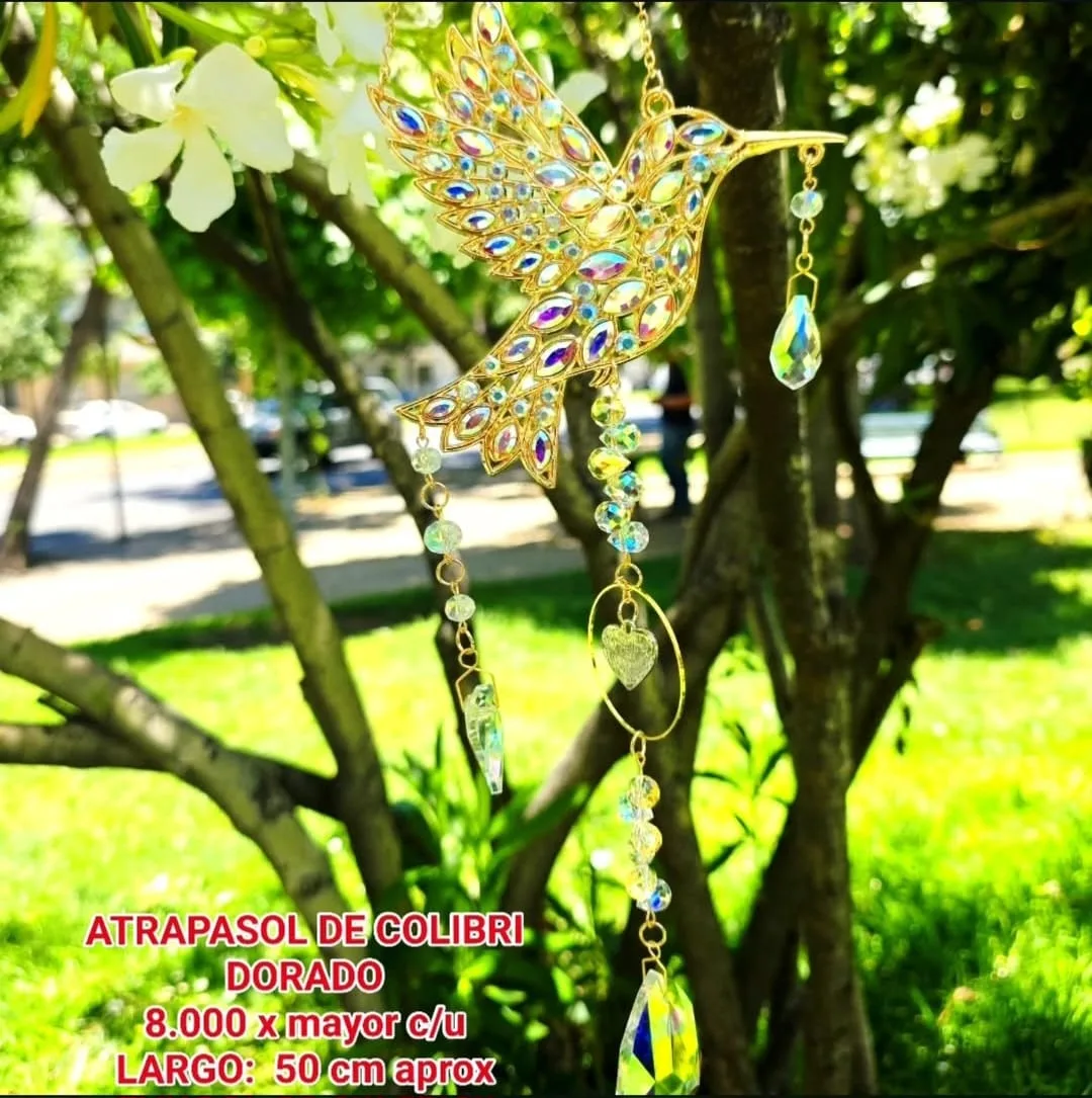 89cf93cc 3402 480d 8cb2 2fbfc60df0bd.webp 89cf93cc 3402 480d 8cb2 2fbfc60df0bd.webp