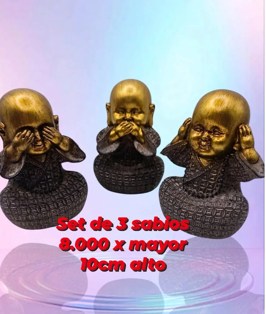 a43f2377 cb41 4cb3 87f9 613e1628565e.webp a43f2377 cb41 4cb3 87f9 613e1628565e.webp