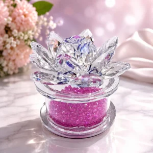a7671181 9630 42e7 b460 d722af43dbb1.webp