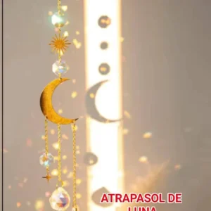 ae302d7b 5b5f 4f6b 93e5 0510fd590642.webp