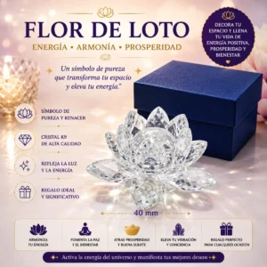 affe3b1e 437d 4c27 a9e8 80aa41c4c8dc.webp