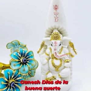 d9790290 4e43 473d a599 bbfdea104a7c.webp